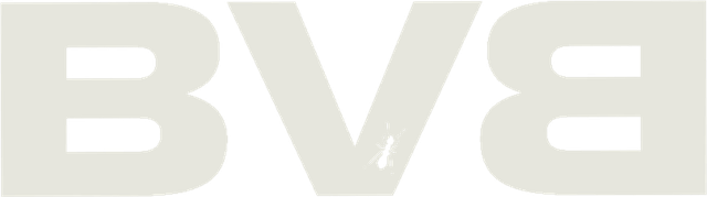 BVB